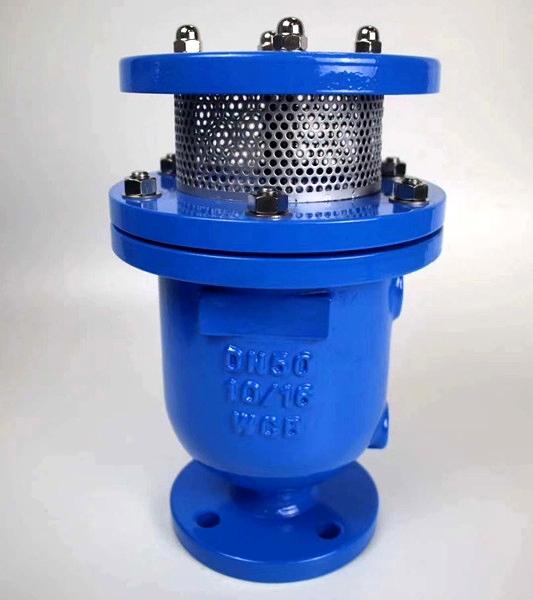 Factory Direct Supply High Speed Combined Compound air Vent Pressure Release Valve Dn 20